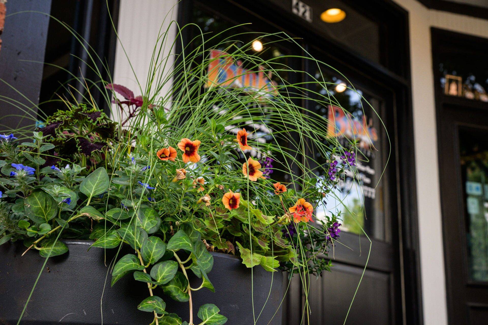 Flowers on Main Contest Downtown Franklin